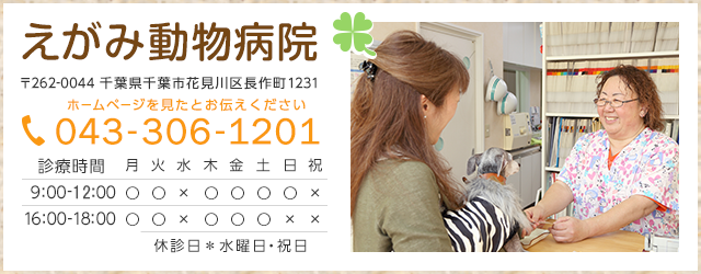 えがみ動物病院 TEL：043-306-1201